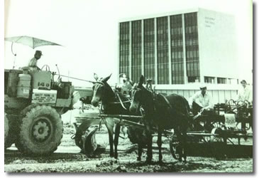 frank's paving in the beginning
